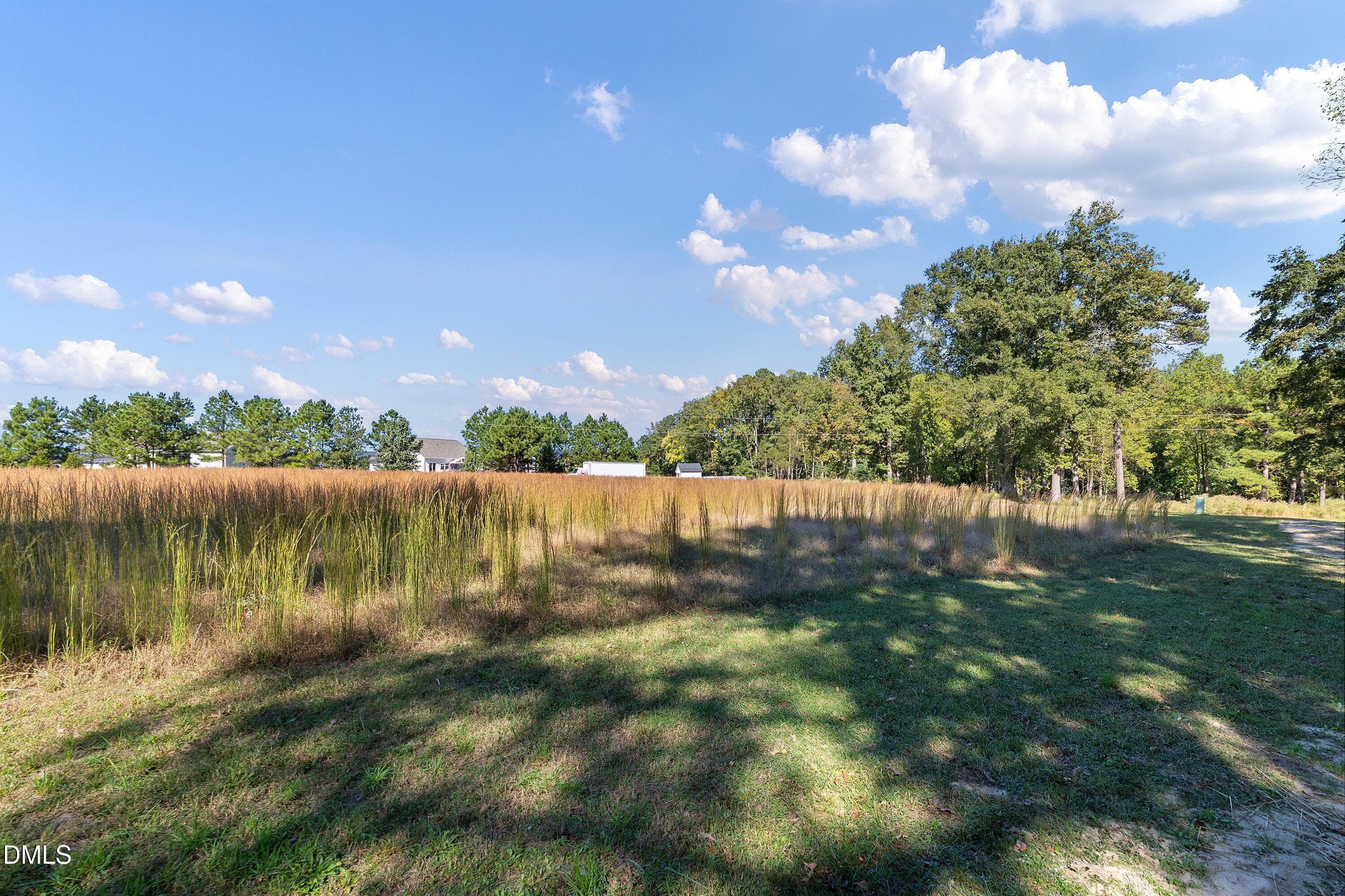 16-2248 Cooper Branch Rd_1604 - Off Peel Rd, Clayton, NC 27520