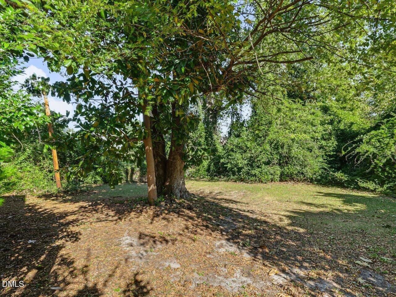 61-Back of Yard - 317 S 2nd Street, Smithfield, NC 27577