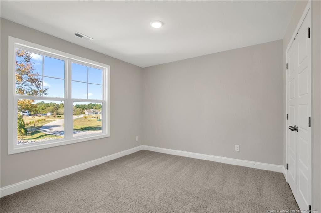 Photo 16 - 347 Thorntons Creek Drive, Erwin, NC 28339