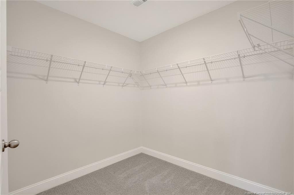 Photo 30 - 347 Thorntons Creek Drive, Erwin, NC 28339
