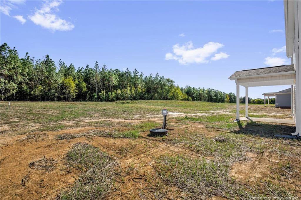 Photo 38 - 347 Thorntons Creek Drive, Erwin, NC 28339