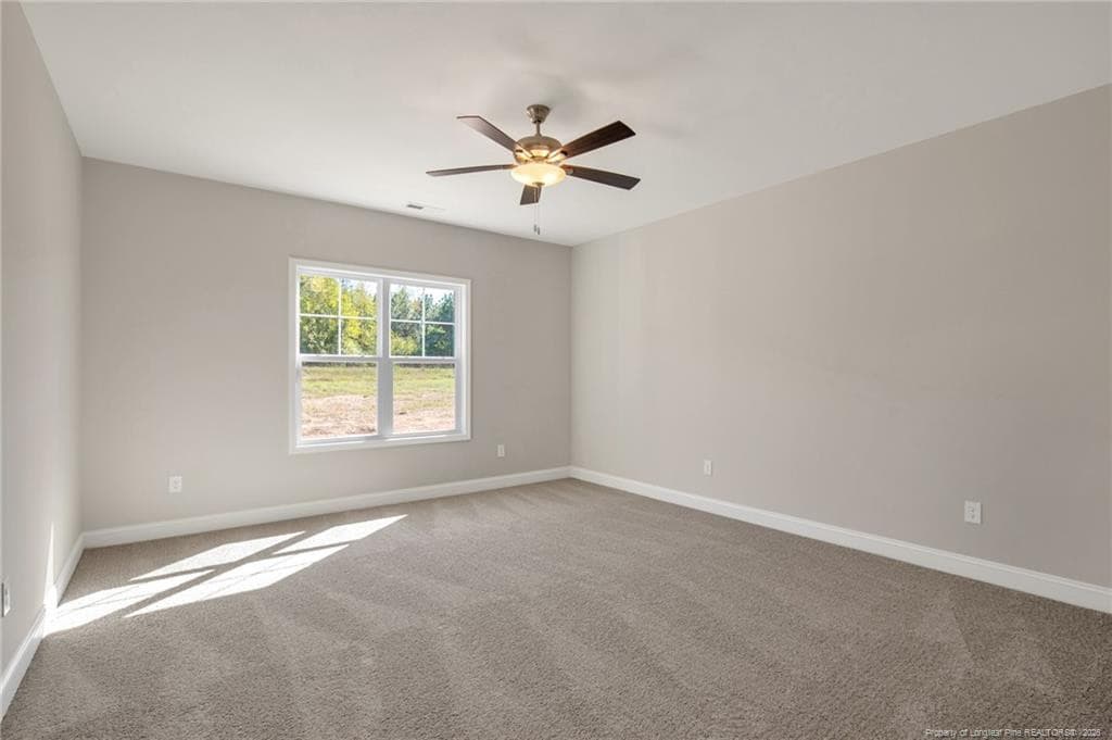 Photo 25 - 365 Thorntons Creek Drive, Erwin, NC 28376