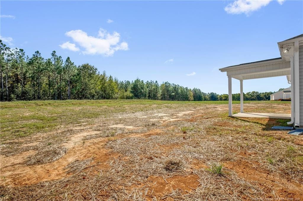 Photo 29 - 365 Thorntons Creek Drive, Erwin, NC 28376