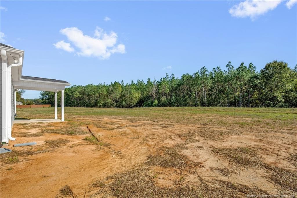 Photo 30 - 365 Thorntons Creek Drive, Erwin, NC 28376