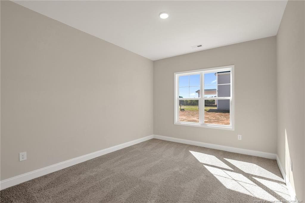 Photo 37 - 365 Thorntons Creek Drive, Erwin, NC 28376