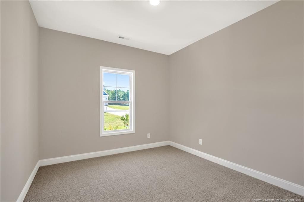 Photo 22 - 380 Thorntons Creek Drive, Erwin, NC 28339