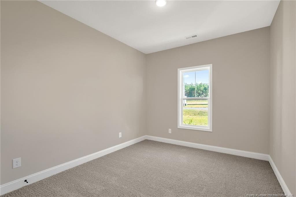 Photo 24 - 380 Thorntons Creek Drive, Erwin, NC 28339