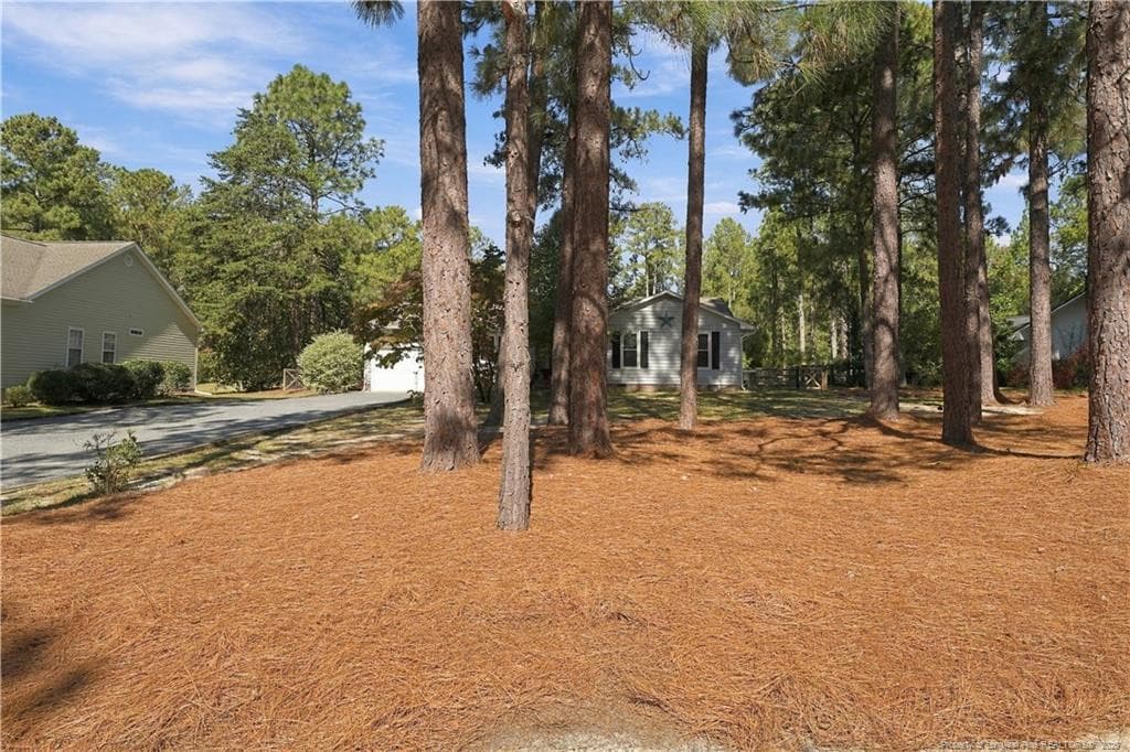 Photo 45 - 190 Firetree Lane, West End, NC 27376