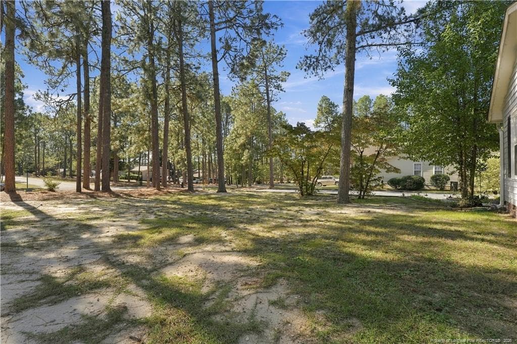 Photo 46 - 190 Firetree Lane, West End, NC 27376