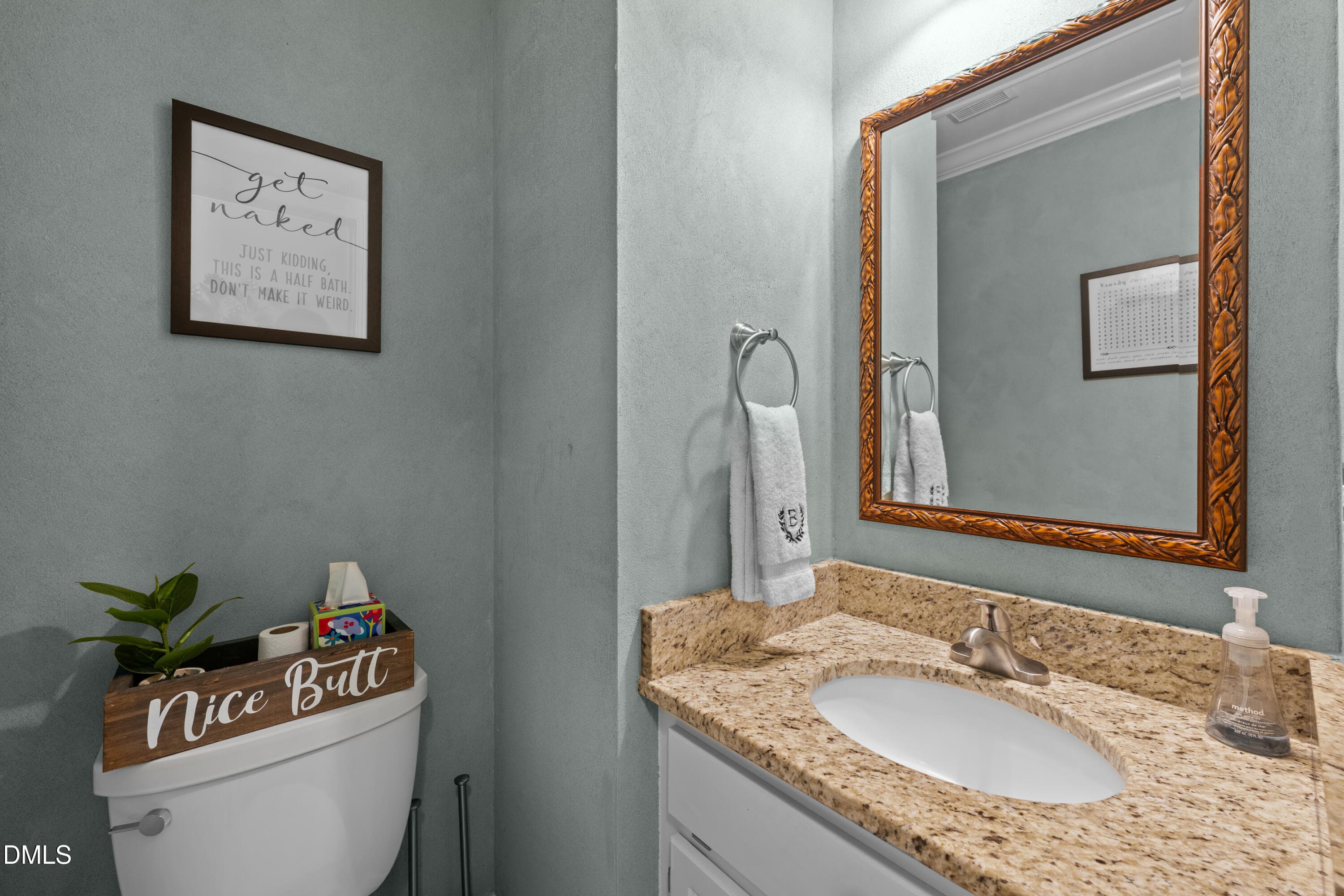 Half Bath - 1501 Rainesview Lane, Apex, NC 27502