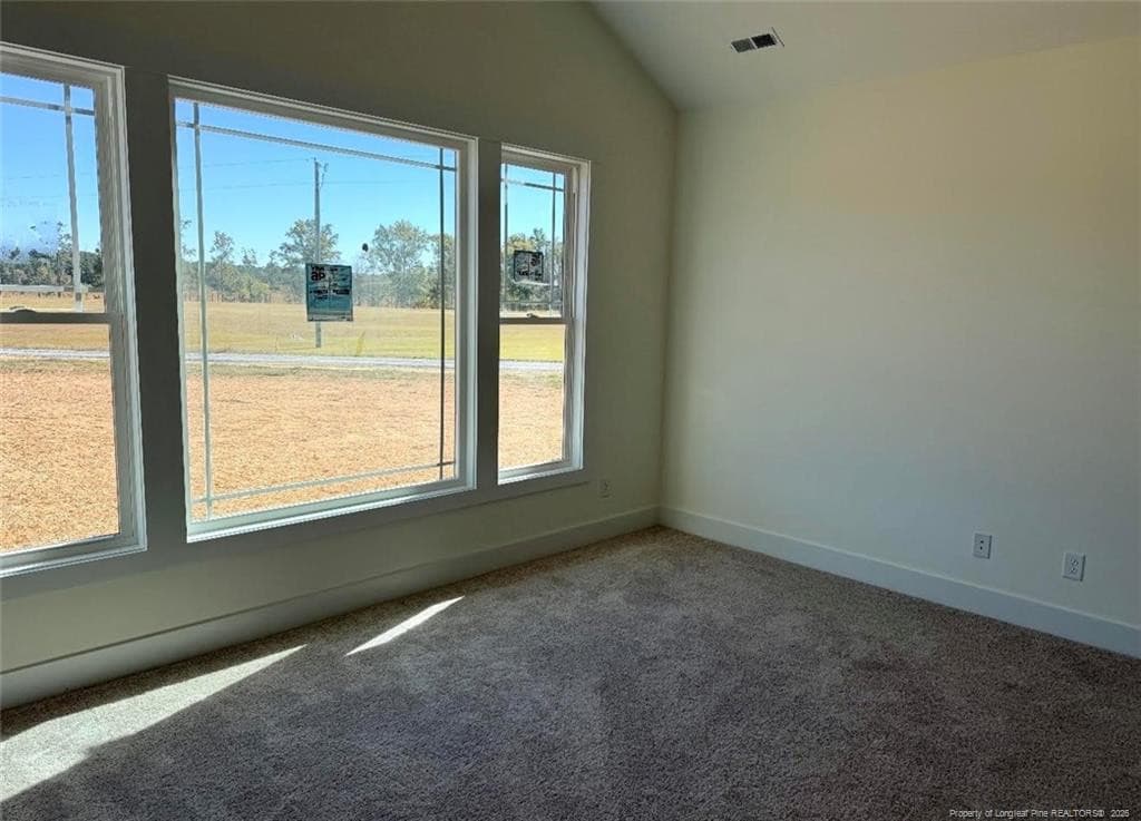 Photo 5 - 3571 Hannah Creek Road, Benson, NC 27504