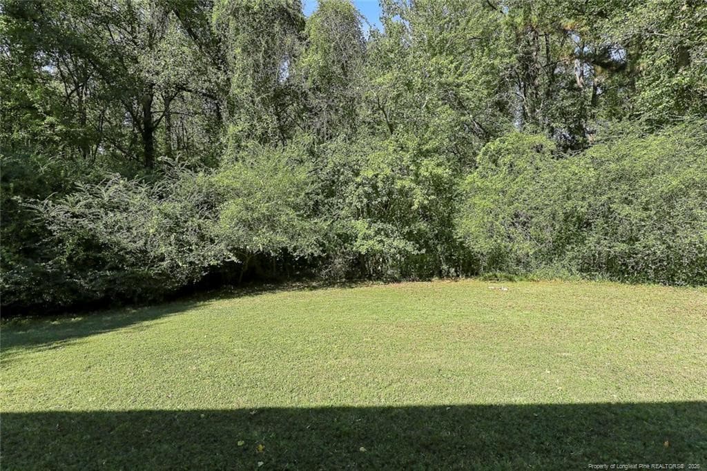 Photo 28 - 132 Penny Lane, Pittsboro, NC 27312