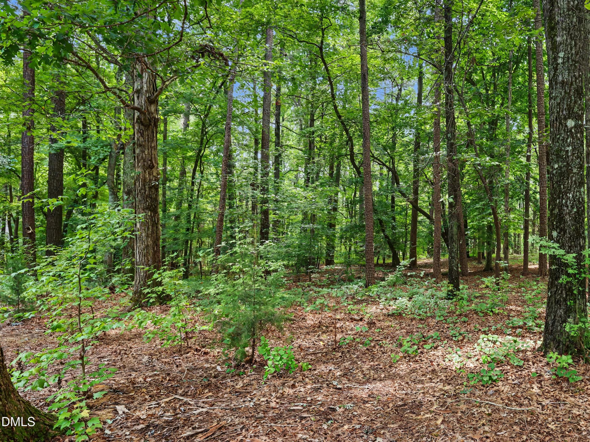 74-066-10SourwoodLane-20260728 - 10 Sourwood Lane, Pittsboro, NC 27312