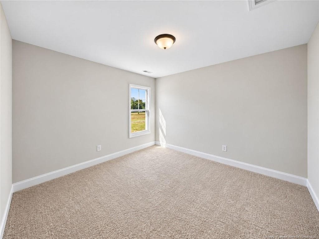 Photo 19 - 726 Brown Road, Lillington, NC 27546