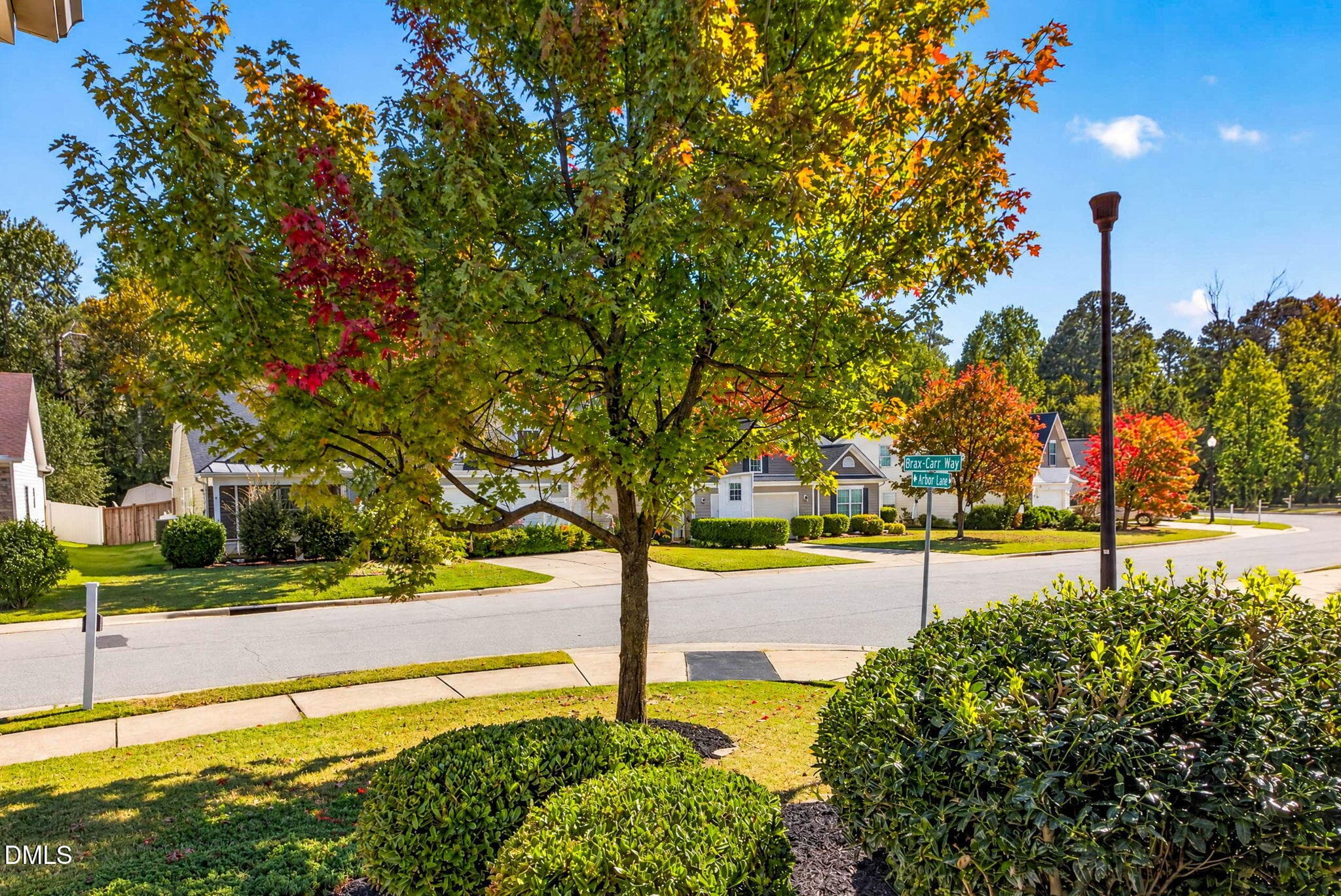 Street View! - 182 Arbor Loop, Angier, NC 27501