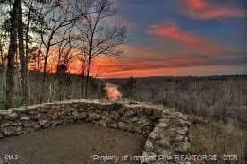 Photo 32 - 122 Galway Road, Lillington, NC 27546