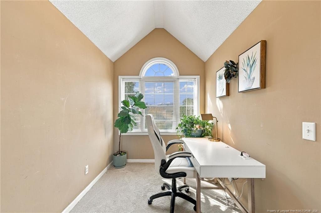 Photo 21 - 90 Canyon Court, Sanford, NC 27332