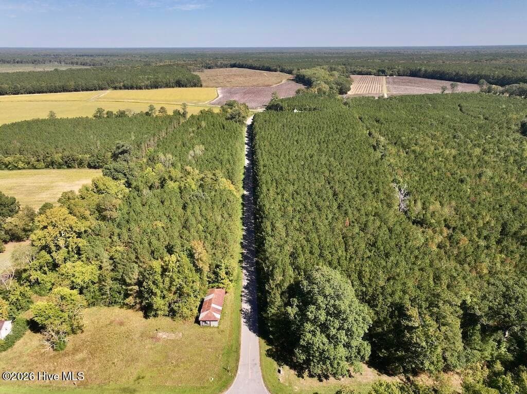 Mixed Use at 0 Spring Hill Road, Scotland Neck, NC 27874, photo 67 of 93