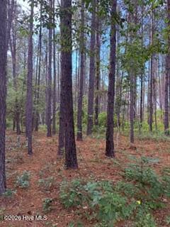 Manufactured Home at 645 Bent Knee Road, Keysville, GA 30816, photo 53 of 73