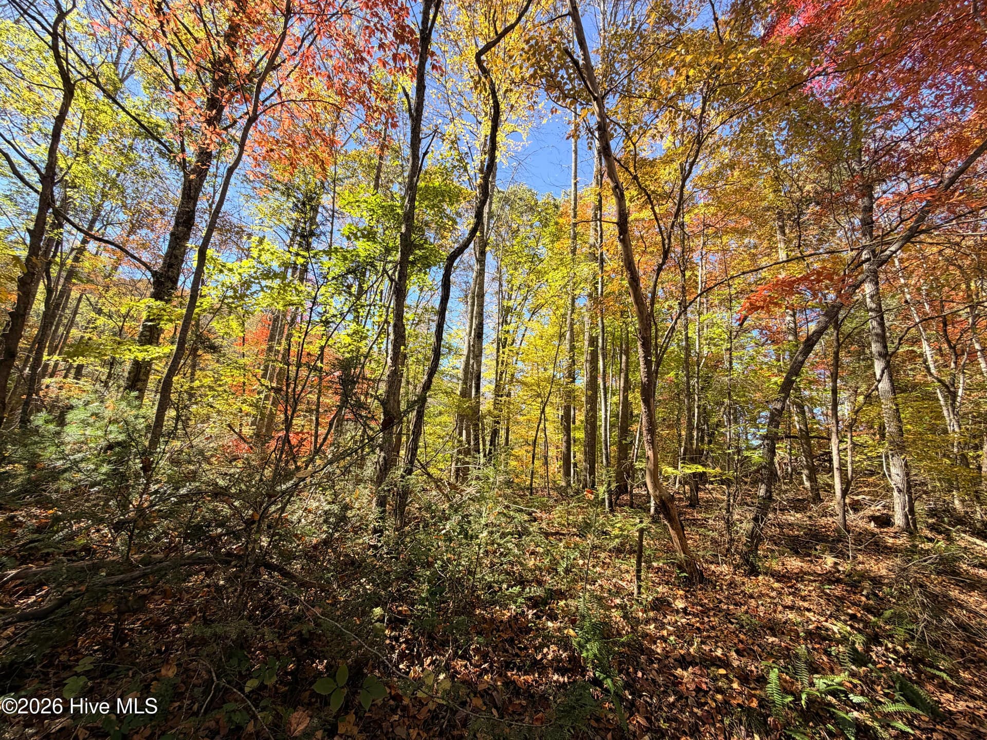 Residential Lot at Lot# 6 Rhododendron Drive Drive, Topton, NC 28781, photo 3 of 4