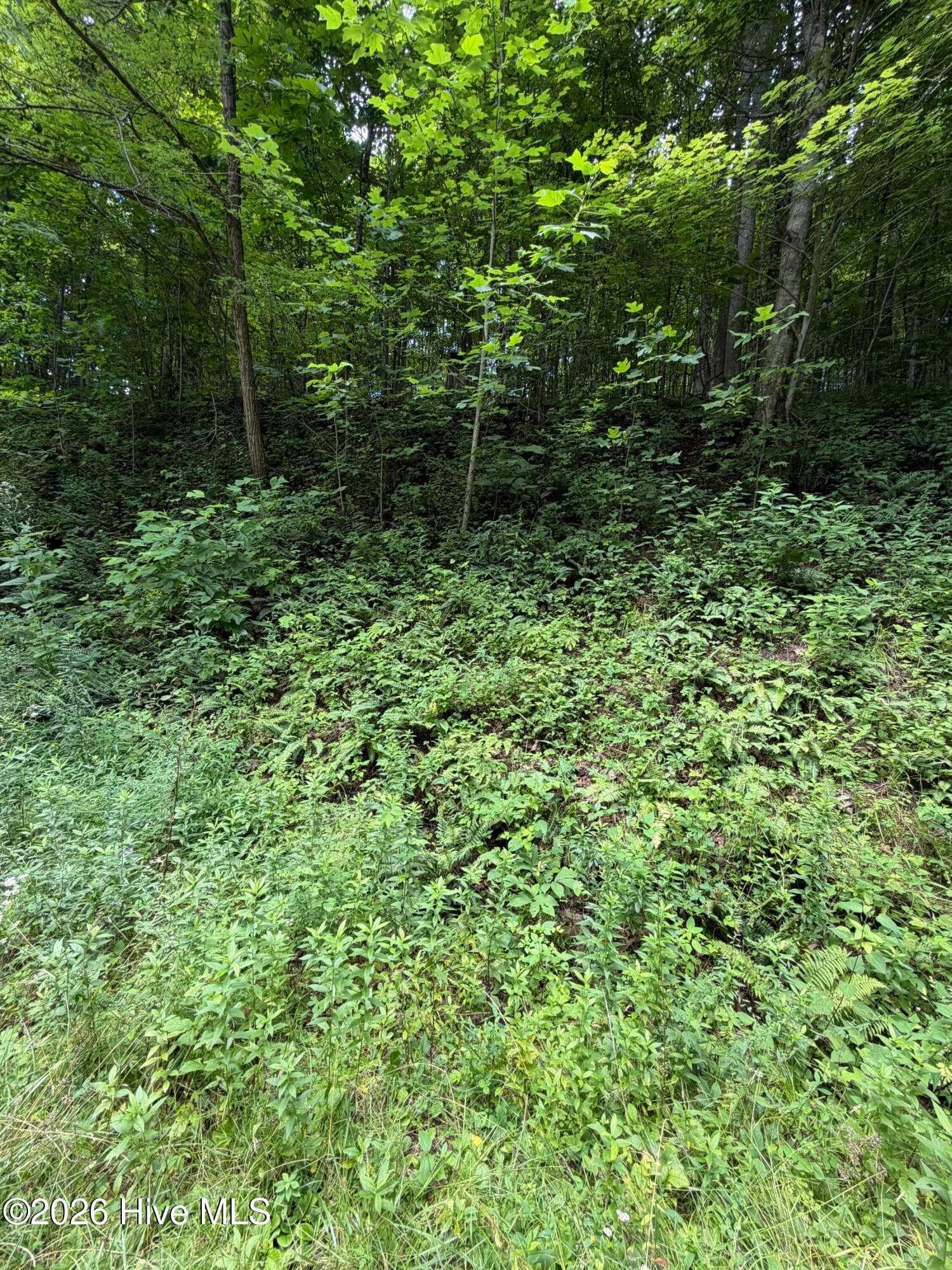 Wooded at Lot 2 Outlook Road, Murphy, NC 28906, photo 3 of 6