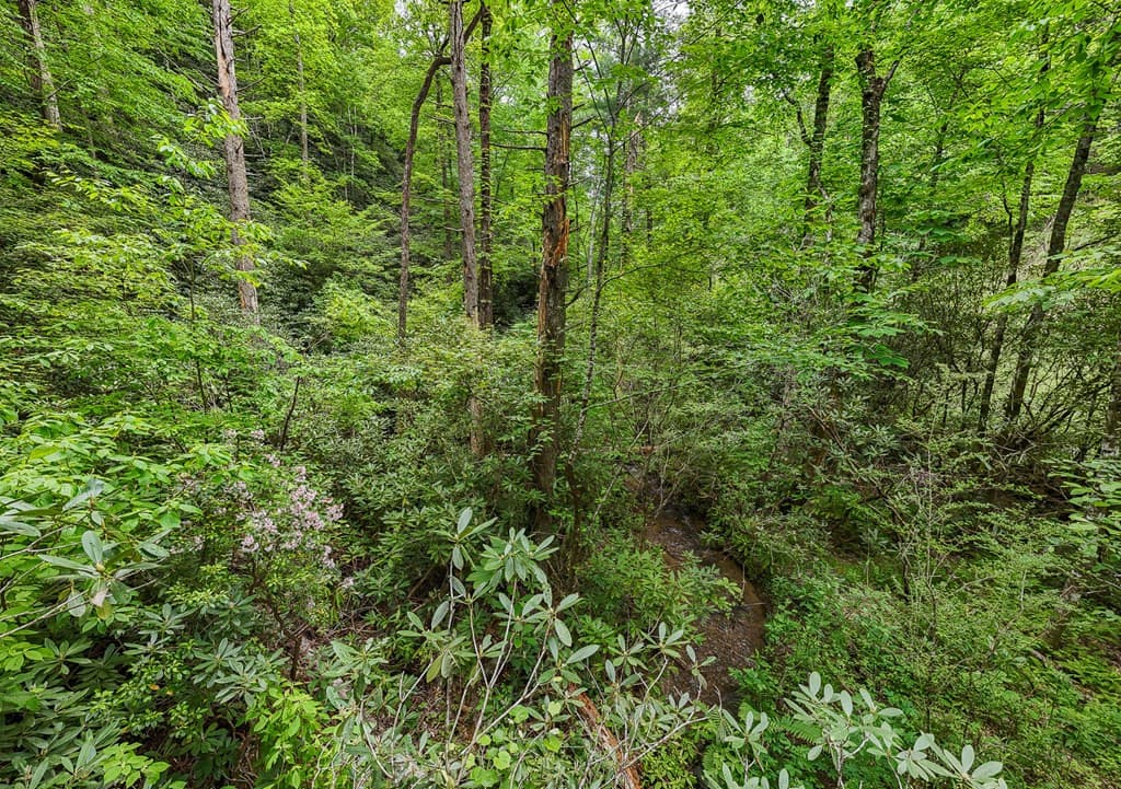 Land at 399 Shell Stand Road, Almond, NC 28702, photo 9 of 21