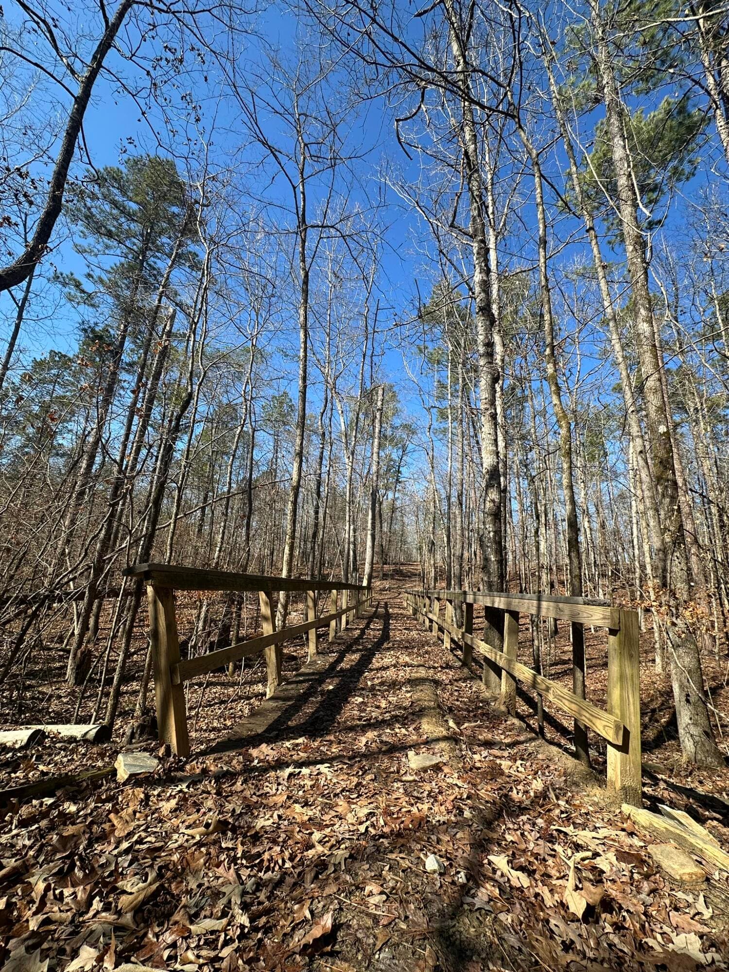 Residential Lot at Lot 31 31 Willow Way, Lincolnton, GA 30817, photo 12 of 24