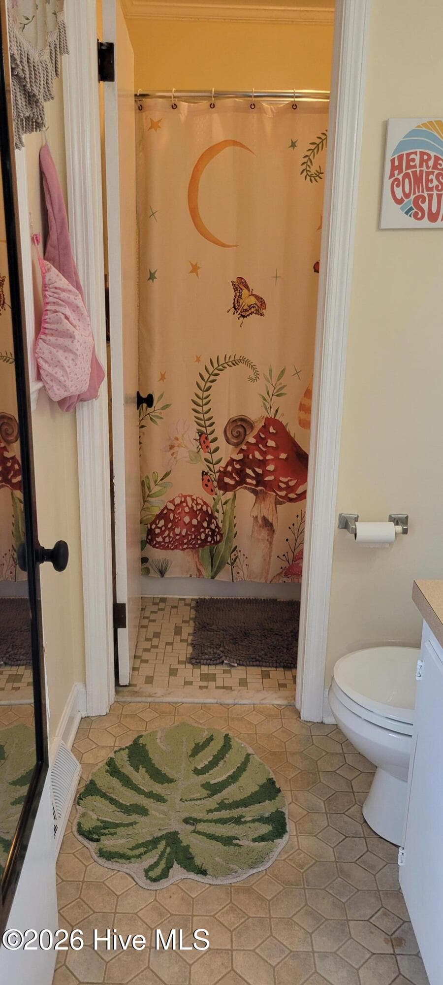 Bathroom entry from Master bedroom. Photo is prior to moving out - 110 Landon Drive, Washington, NC 27889