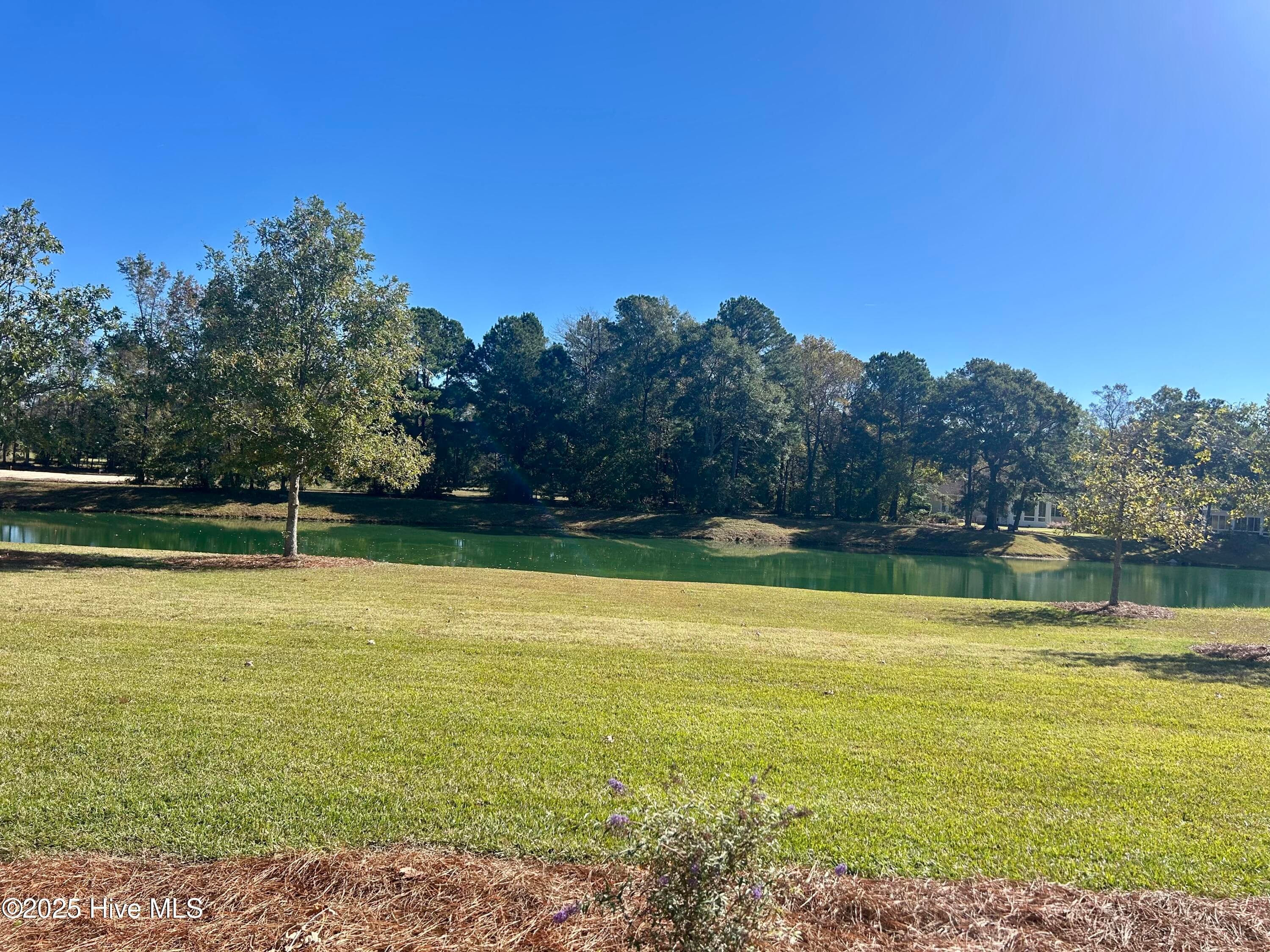 Back porch view - 141 Sycamore Lakes Drive, Wallace, NC 28466