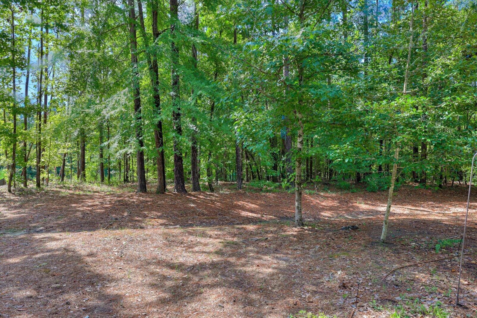 Single Family Residence at 298 Savannah Way, North Augusta, SC 29860, photo 56 of 58