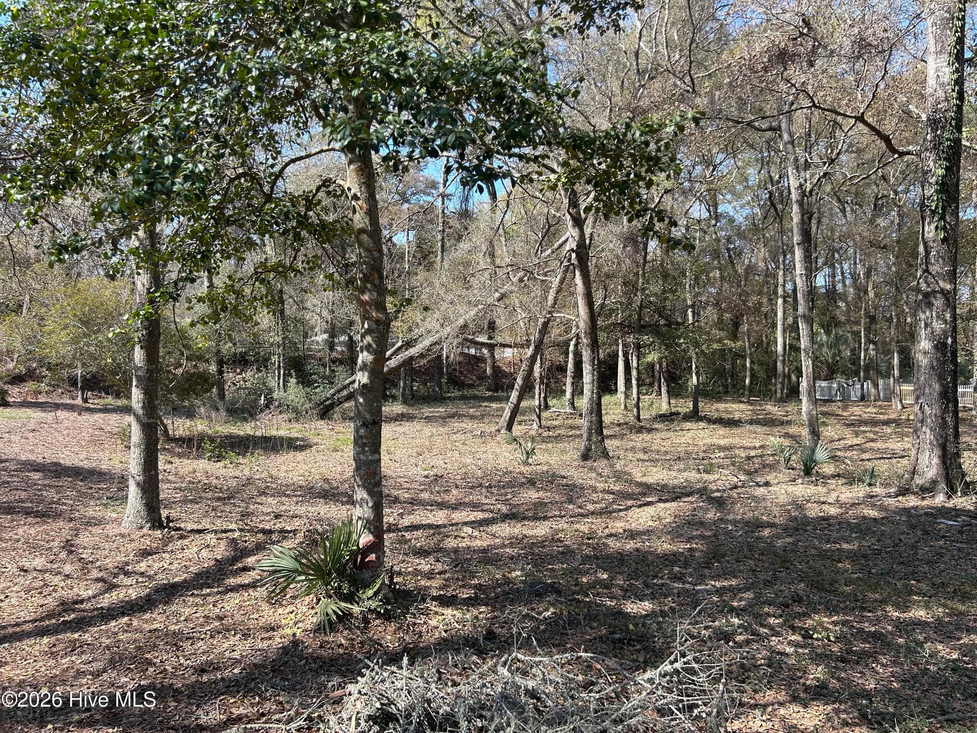 Residential Lot at 1951 Redfish Run SW, Supply, NC 28462