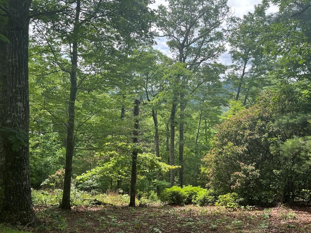 Lot 40 40 Burger Road, Murphy, NC 28906