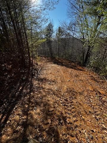 Land at Lot 16 Paradise, Marble, NC 28905, photo 3 of 8