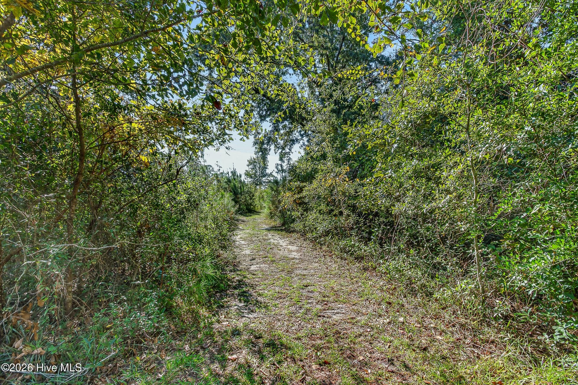 Residential Lot at 107 2 & 4 Ray Lane, Swansboro, NC 28584, photo 37 of 55