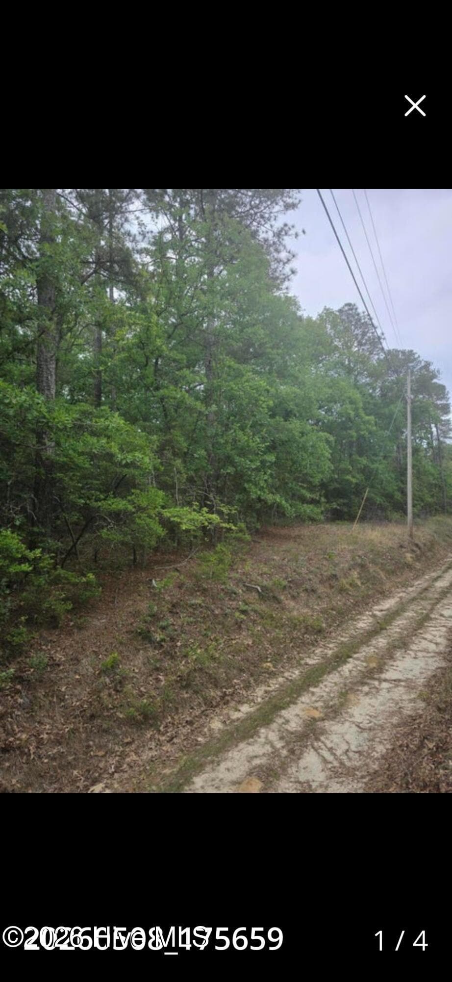 Undeveloped at 00 Leonard Lane, North Augusta, SC 29860, photo 3 of 4