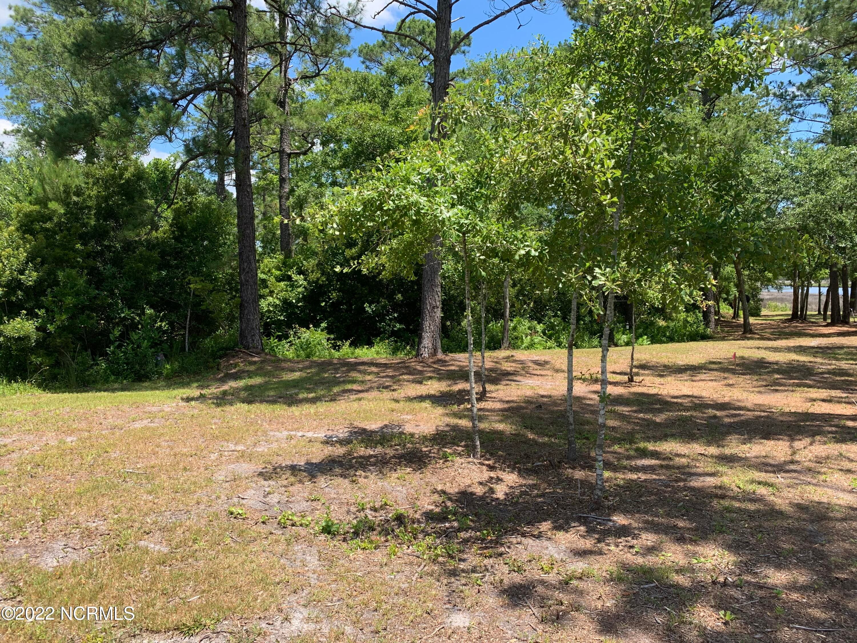 Residential Lot at 276 18 E Ivybridge Drive, Hubert, NC 28539, photo 2 of 25