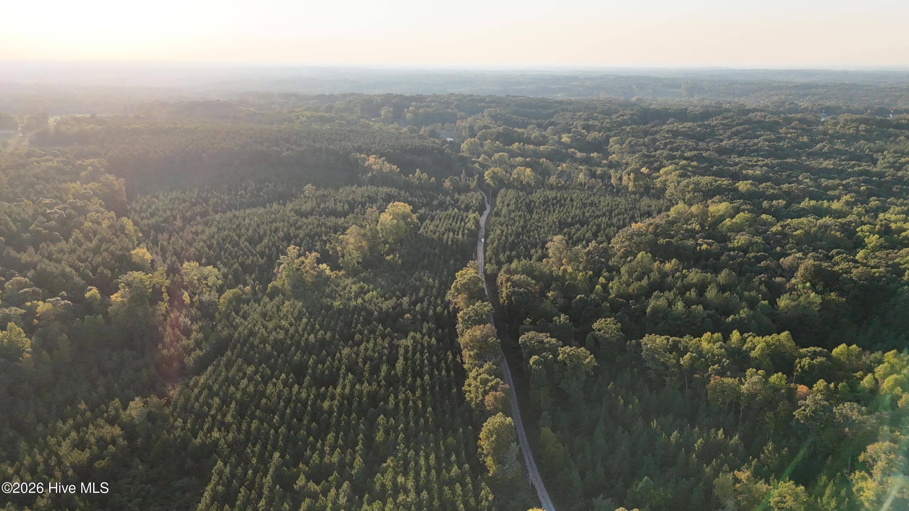 Wooded at 0 Ritter Road, Robbins, NC 27325, photo 2 of 2