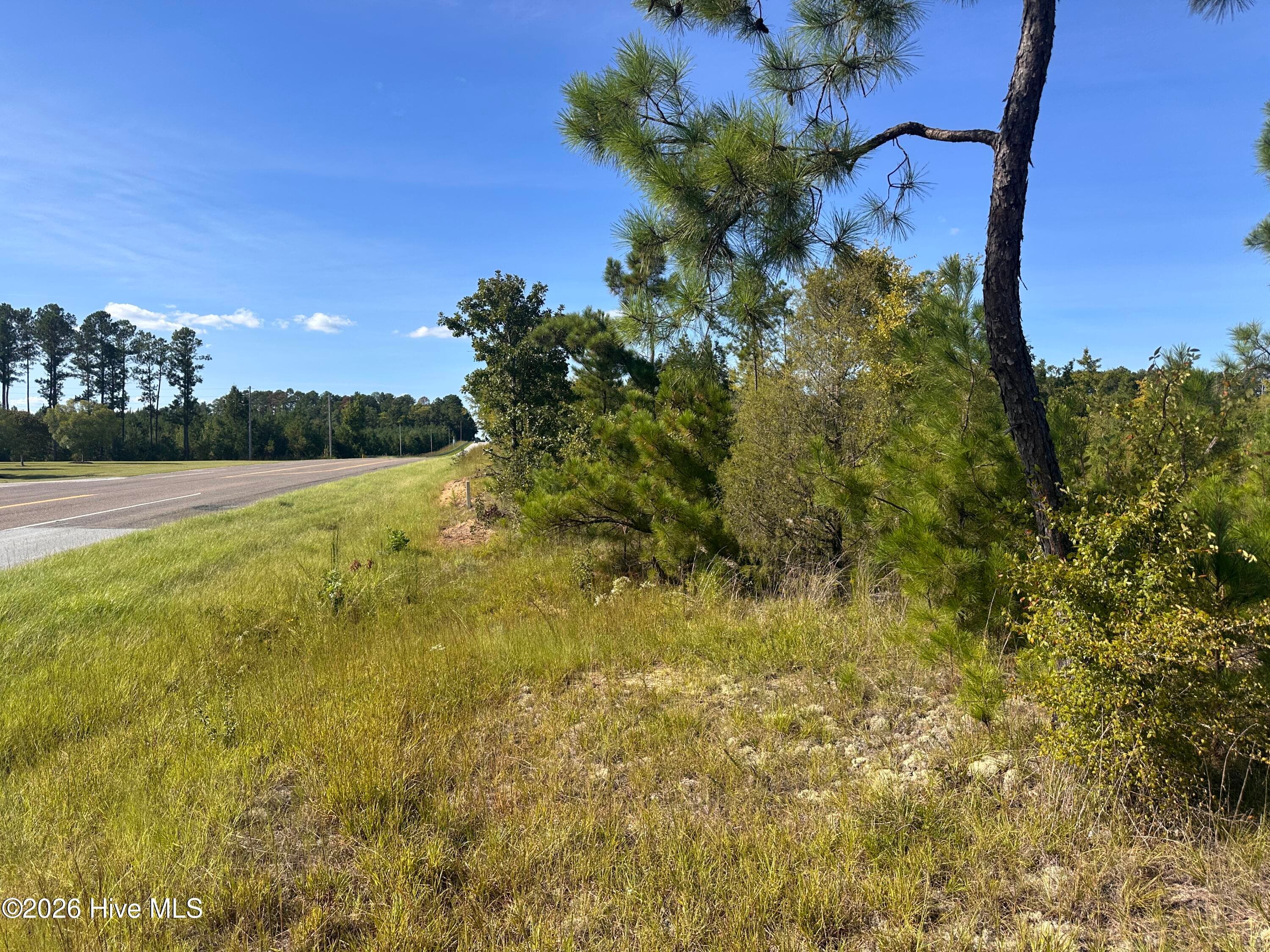 Mixed Use at Hwy 139 And Hwy 28 Old Plum Branch Rd S, Plum Branch, SC 29845, photo 2 of 8