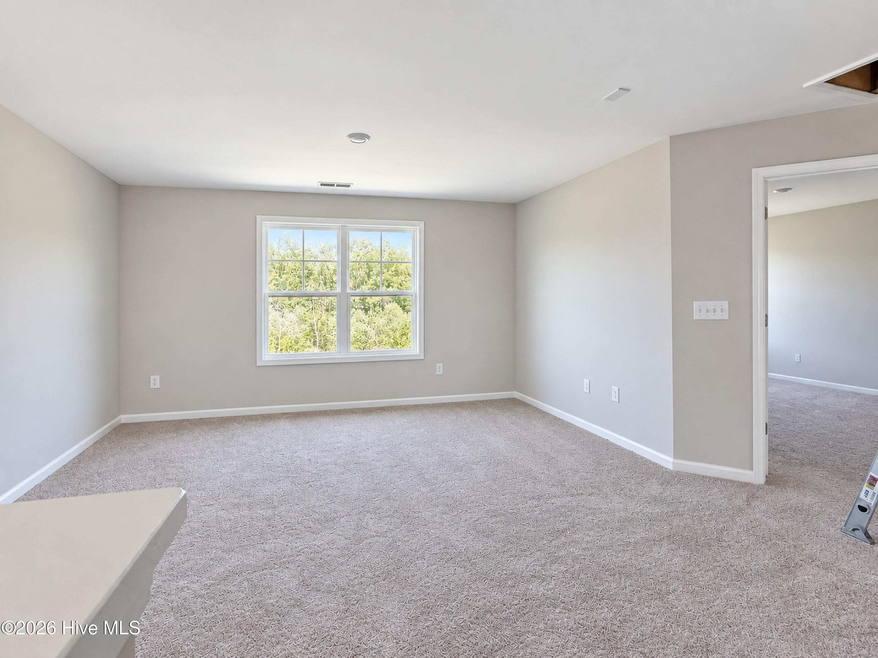 Single Family Residence at 51 Fiddleneck Court, Selma, NC 27576, photo 198 of 311