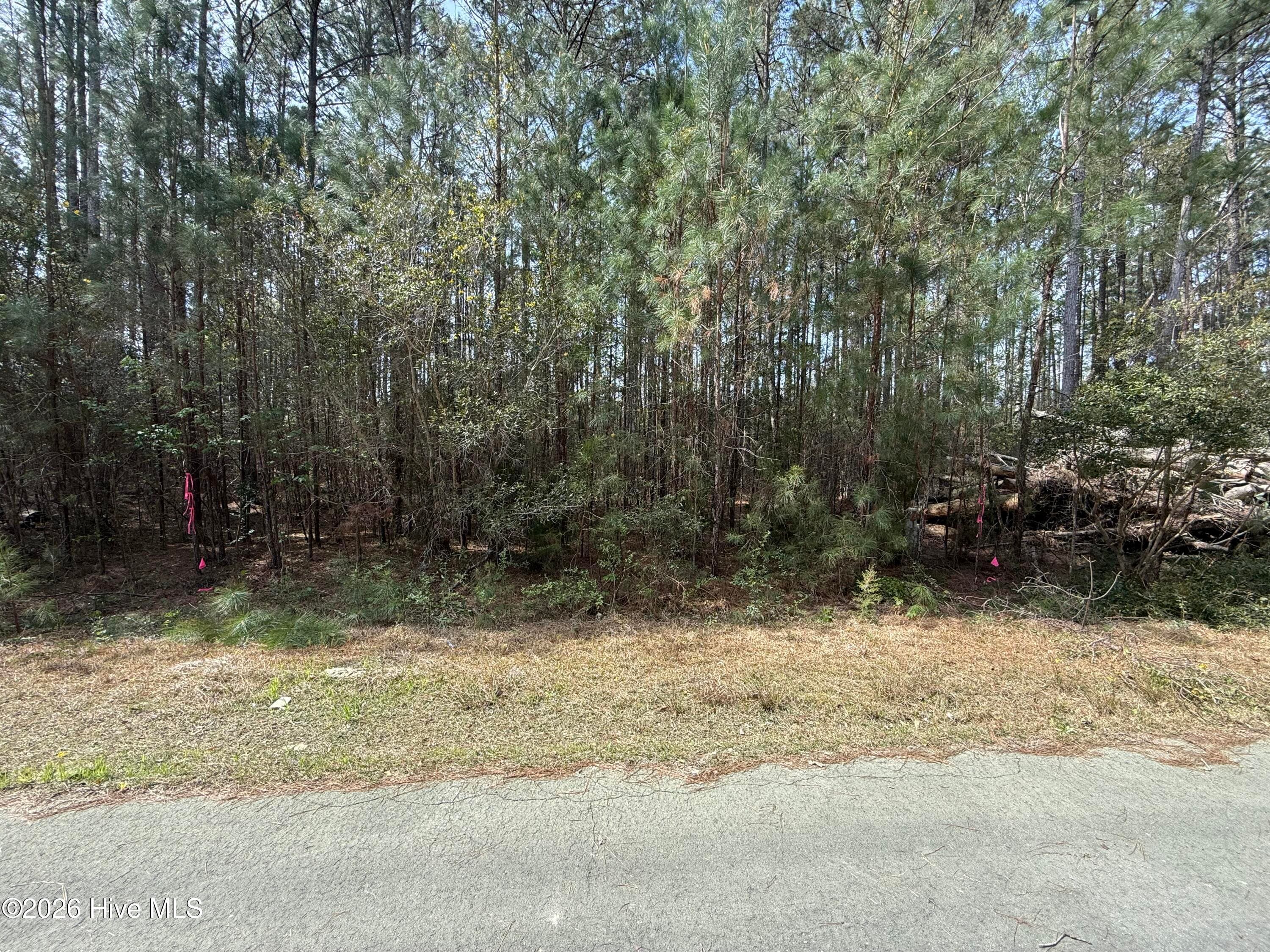Residential Lot at 120 Water Oak Drive, Oriental, NC 28571, photo 2 of 9