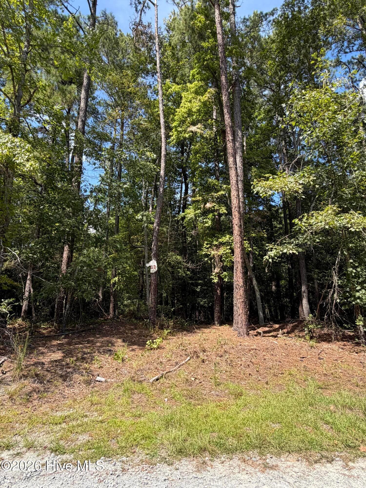 Residential Lot at 1d Gelding Gap Lane, Carthage, NC 28327, photo 4 of 5