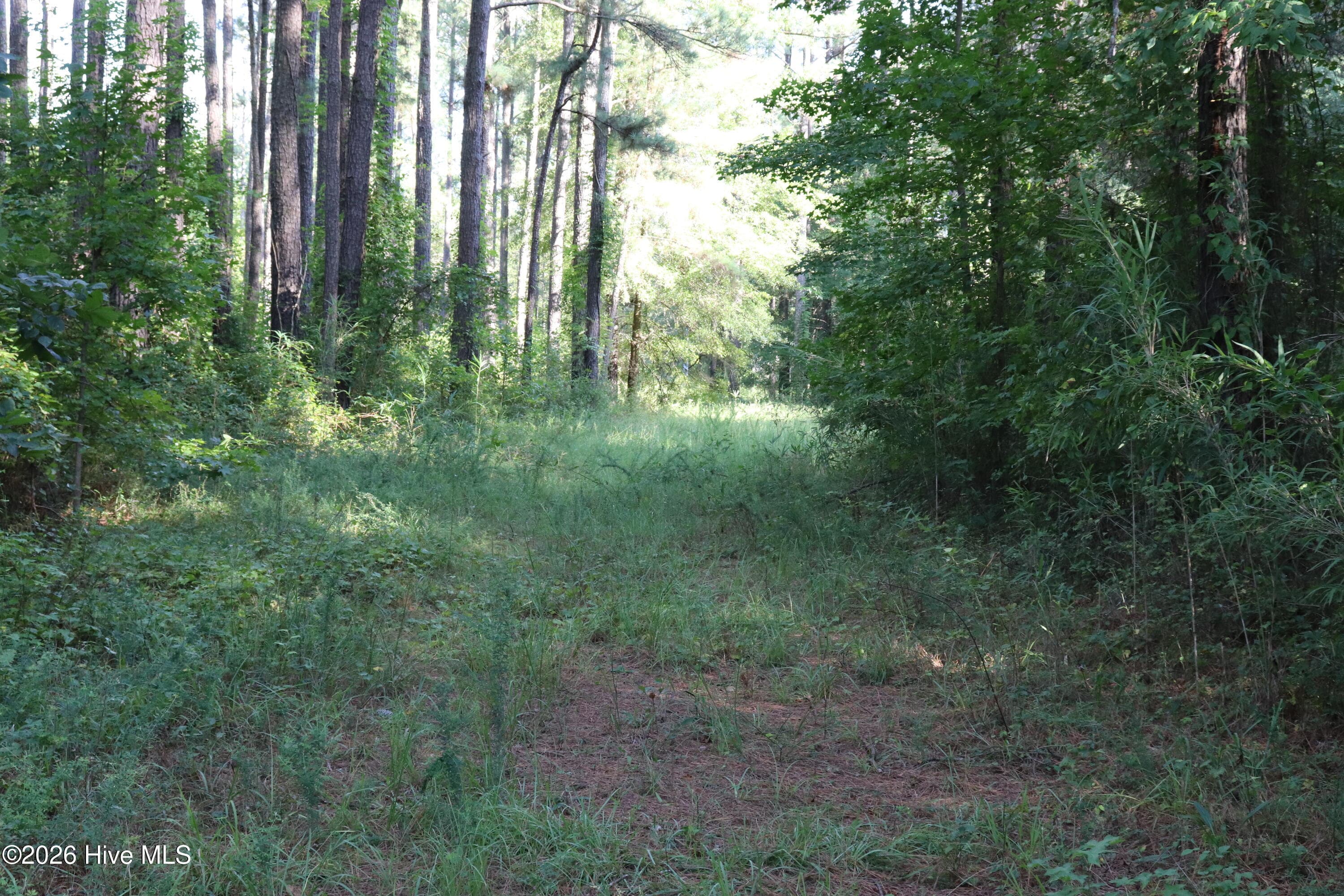 Path to open area within the lots - Tbd 14 & 15 River Haven Lane, Harrells, NC 28444