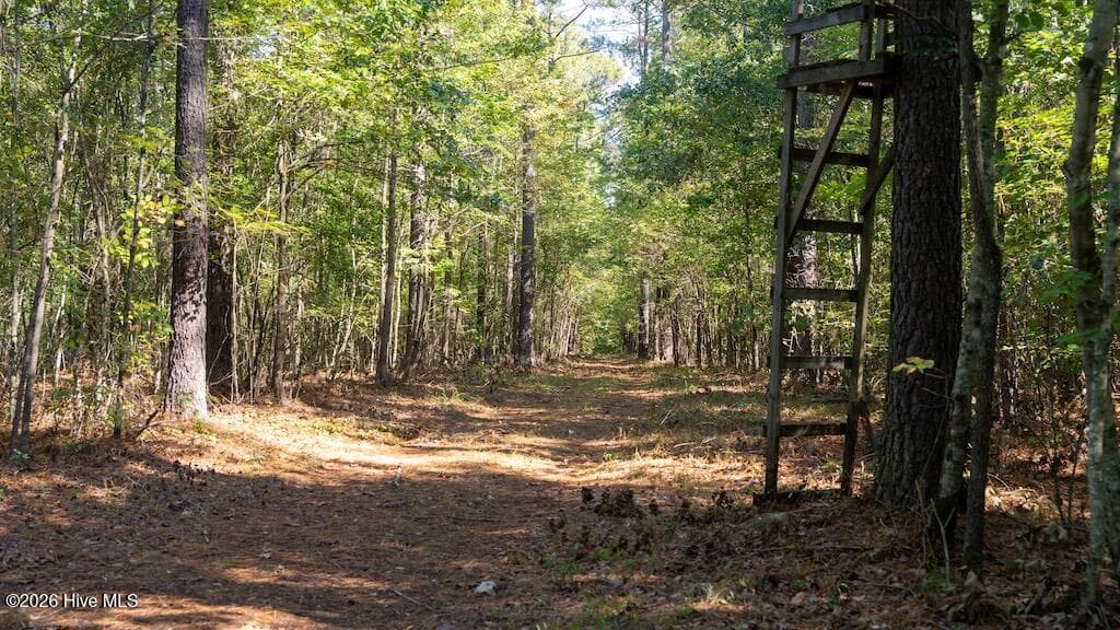 Mixed Use at 0 Spring Hill Road, Scotland Neck, NC 27874, photo 15 of 93