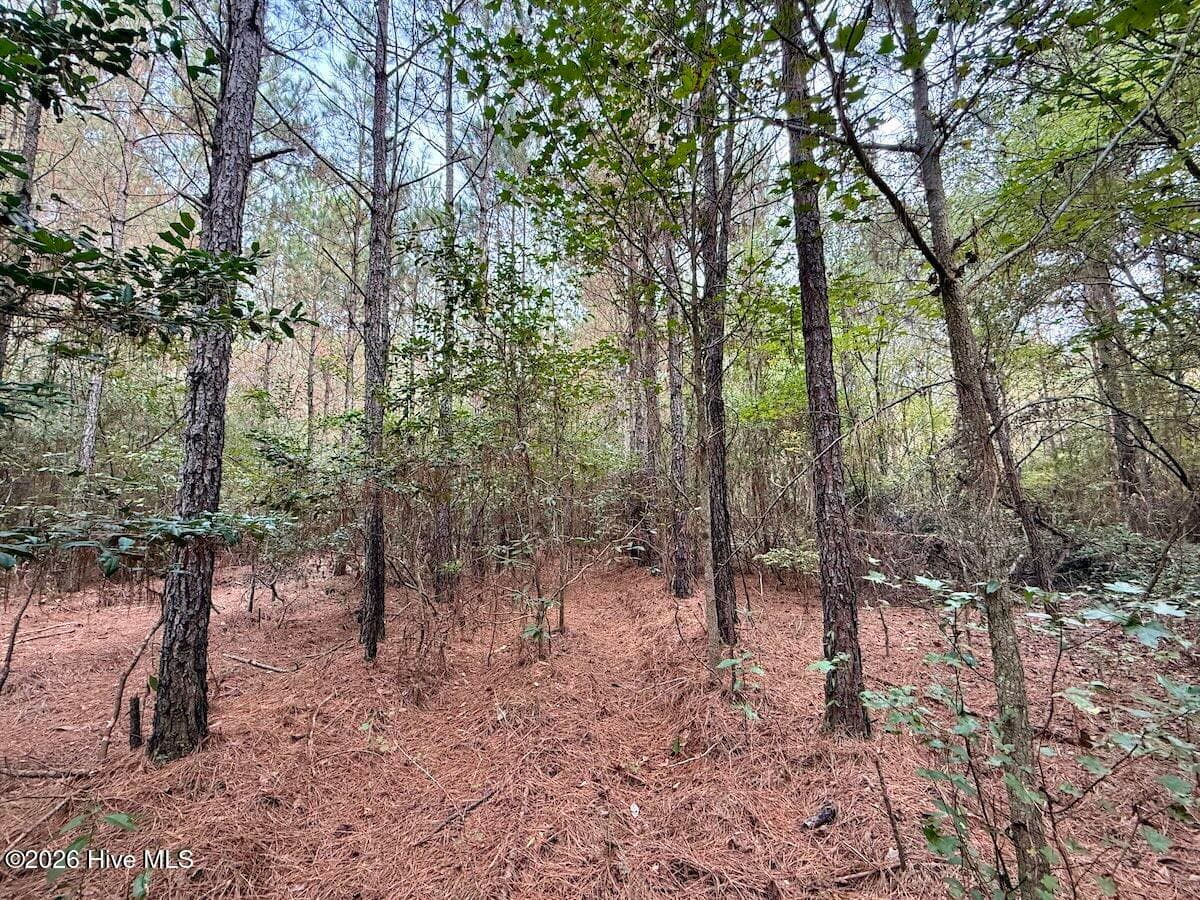 Recreation at 00 Hwy 258 S, Deep Run, NC 28525, Deep Run, photo 14 of 39