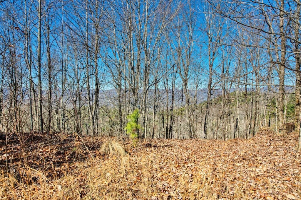 Land at 1441 Valley View Heights Lane, Andrews, NC 28901, photo 7 of 11