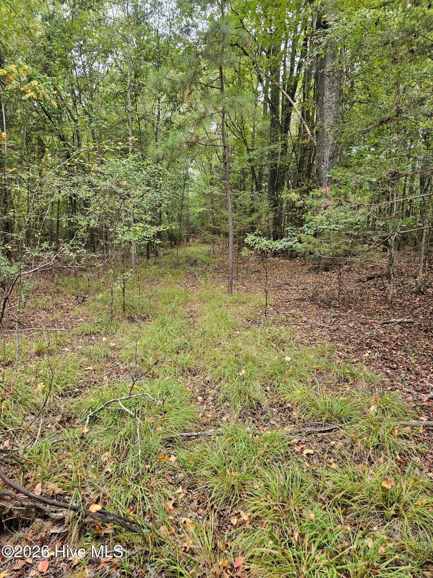Wooded at 0 Washington Highway, Lincolnton, GA 30817, photo 7 of 11