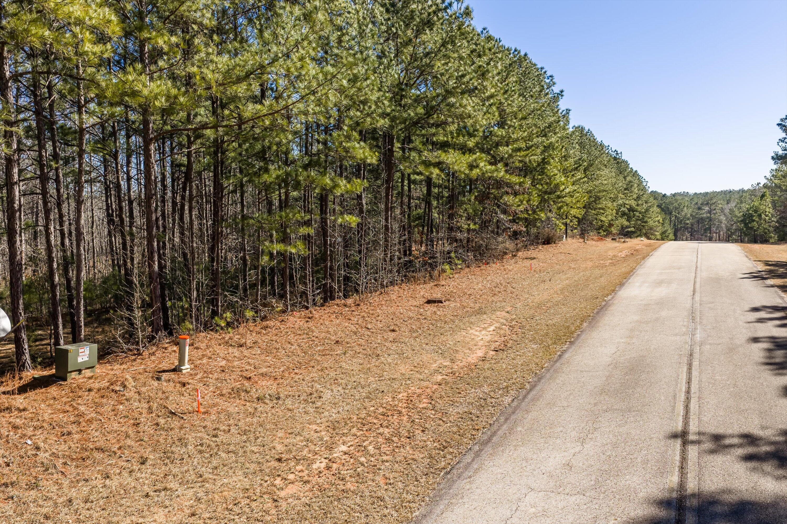 Residential Lot at Lot 64 Wisteria Drive, Lincolnton, GA 30817, photo 7 of 27
