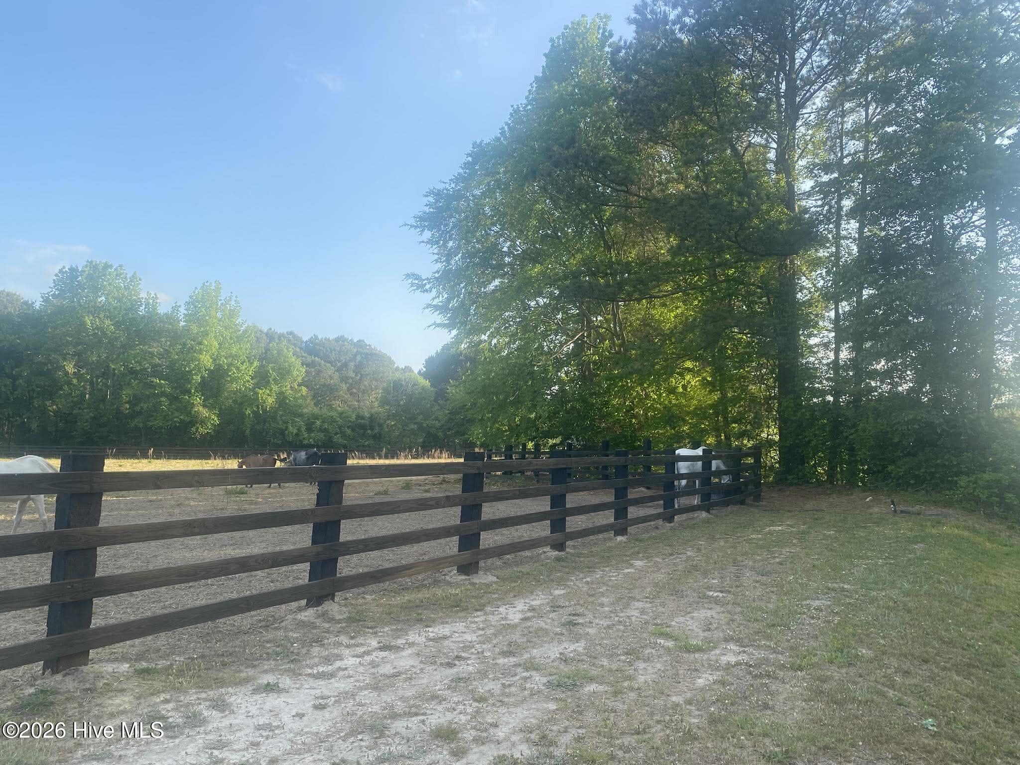 Residential Lot at 52 Fellowship Church Road, Princeton, NC 27569, photo 9 of 19