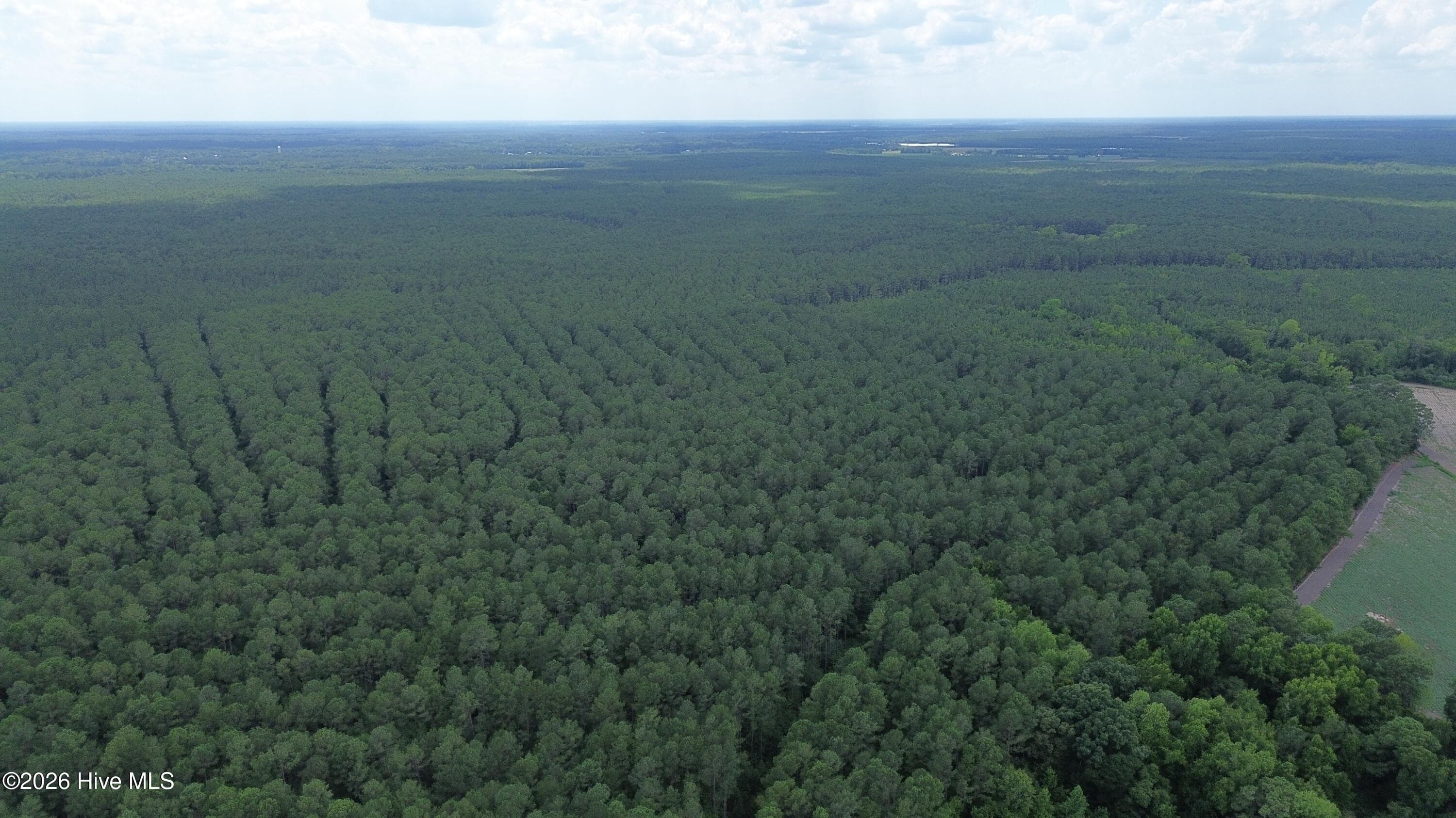 Wooded at Tbd Point Caswell Road, Atkinson, NC 28421, photo 7 of 16