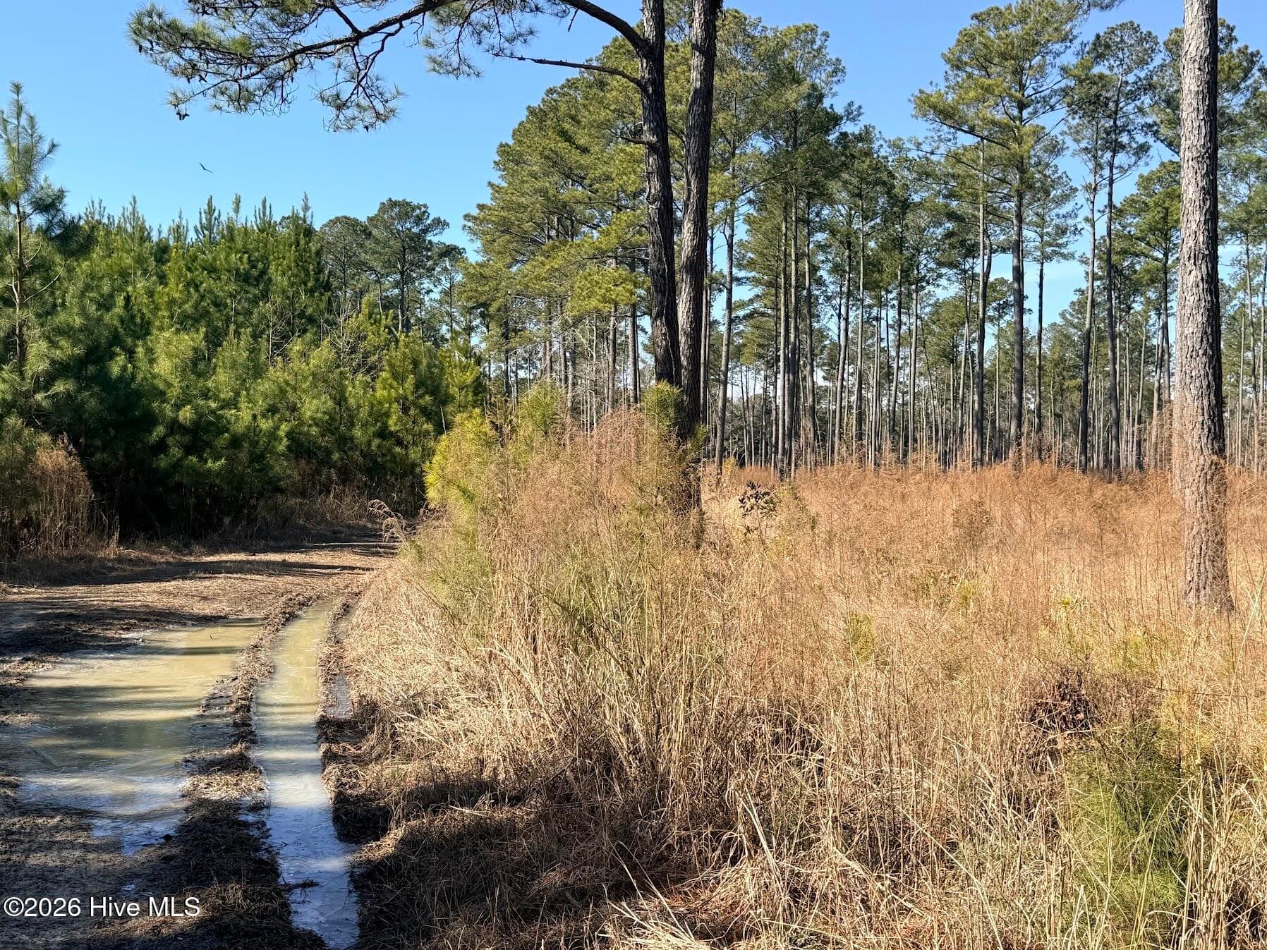 Residential Lot at 0 Sr 1119 Off, Chocowinity, NC 27817, photo 4 of 5